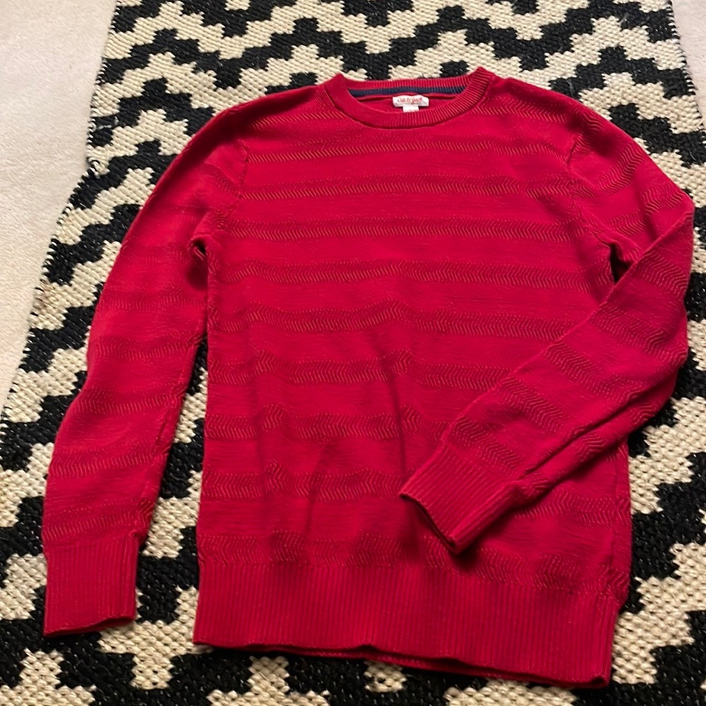 Boys Cat & Jack Red Sweater